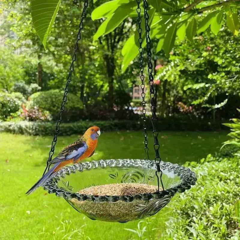 Best Hummingbird Feeder | Perky Pet Style | Easy to Clean |