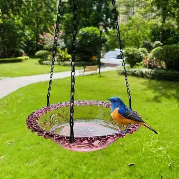 Best Hummingbird Feeder | Perky Pet Style | Easy to Clean |