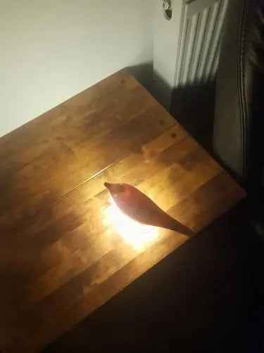 Bird Lamp – Elegant Illumination Inspired by Nature