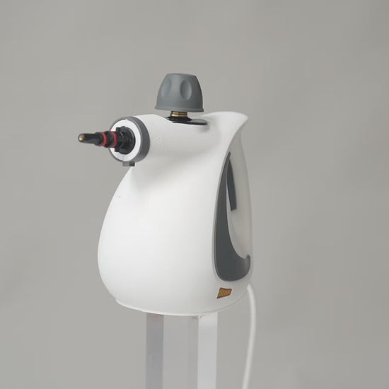 Steam Cleaner For Toxic