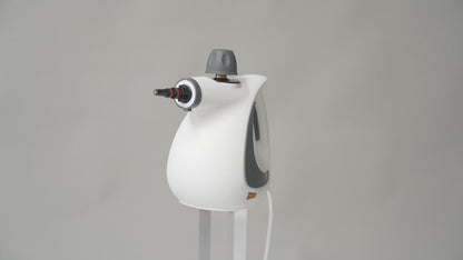 Steam Cleaner For Toxic