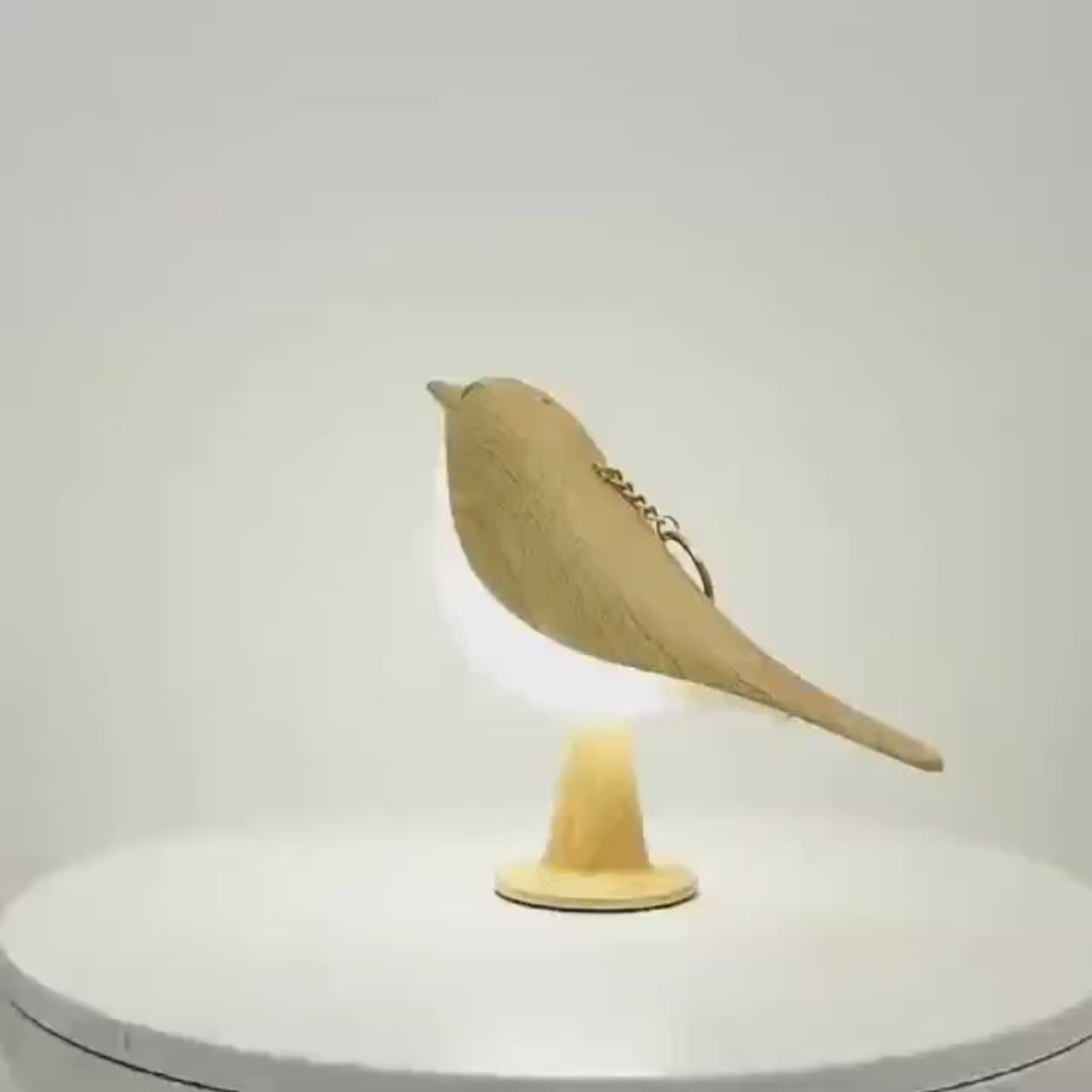 bird lamps