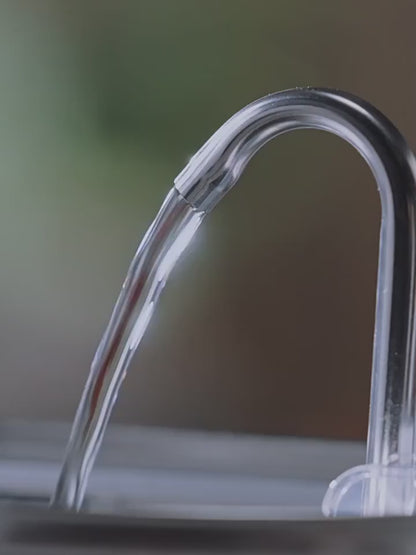 Stainless Steel Dog Water Fountain